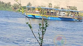 ركاب عالقون ومركبات متوقفة.. جنوح عبّارة نيلية في طهطا بعد تعطل المحرك -فيديو وصور 