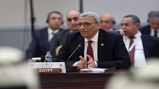 بحضور أردوغان.. وكيل أول "النواب" يُشارك في اجتماع البرلمانات الداعمة لفلسطين -تفاصيل