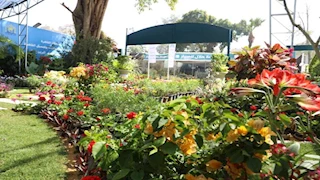 المدير المساعد لـ "الفاو": نستهدف الخروج بمعرض الزهور للعالمية في نسخته القادمة