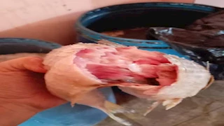 محافظة القاهرة: ضبط أكثر من 10 أطنان فسيخ ورنجة فاسدة ولحوم غير صالحة