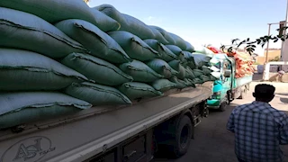  توريد 8869 طن قمح لصوامع أسوان.. والمحافظ: نستهدف 600 ألف طن