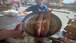 دسوق تستعد لشم النسيم.. قلعة الفسيخ تفتح أبوابها بأسعار زمان -صور