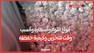 تجار يكشفون: أنواع الثوم وأسعاره وأنسب وقت للتخزين وكيفية حفظه لأطول فترة