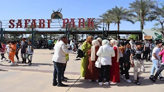 محافظة الجيزة: رفع 35 ألف طن مخلفات من شوارع الجيزة خلال العيد