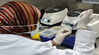 "بحوث الصحة الحيوانية" يفحص 909 آلاف دجاجة تسمين قبل طرحها بالأسواق