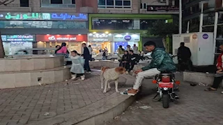 خروجة ببلاش.. الأهالي يحتفلون بعيد الفطر في ميادين الزقازيق بالشرقية - صور
