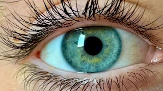 علماء يزعمون اكتشاف "لون جديد" لم يره أحد من قبل