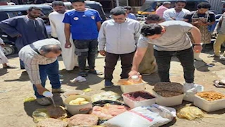 إعدام لحوم وأسماك مملحة فاسدة في أسوان