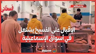 رغم "نار الأسعار".. الإقبال على الفسيخ يشتعل في أسواق الإسماعيلية