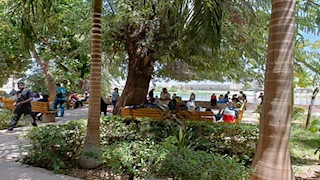   3 رحلات في مكان واحد.. "جزيرة النباتات" تستقبل أهالي أسوان في شم النسيم -صور