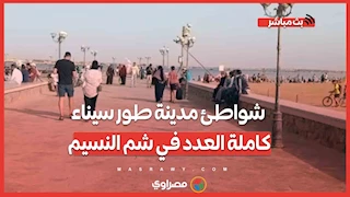 شواطئ مدينة طور سيناء كاملة العدد في شم النسيم