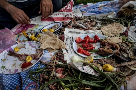 الفسيخ في شم النسيم- جمال شعبان يحذر هؤلاء من تناوله