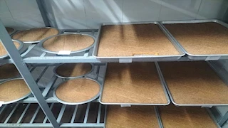 تحرير 345 محضر وضبط وإعدام 2.5 طن أغذية فاسدة بجنوب سيناء (صور)