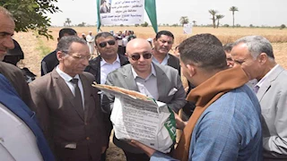 بالصور- محافظ بني سويف يفتتح موسم حصاد القمح من أحد الحقول 