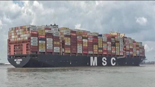 حمولتها 155 ألف طن.. ميناء الإسكندرية يستقبل أكبر سفينة حاويات في تاريخه-صور