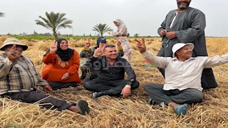 فرحة وزغاريد.. احتفال المزارعين بحصاد محصول القمح في بورسعيد - فيديو وصور