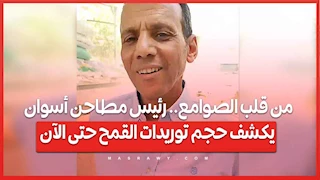 من قلب الصوامع.. رئيس مطاحن أسوان يكشف حجم توريدات القمح حتى الآن