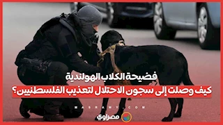 فضيحة الكلاب الهولندية.. كيف وصلت إلى سجون الاحتلال لتعذيب الفلسطنيين؟