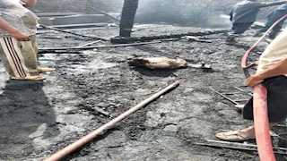 نفوق 12 رأس ماشية وحصان في حريق التهم حظيرة مواشي بالقليوبية