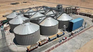 صوامع الوادي الجديد تستقبل 82 ألف طن من القمح وسط استعدادات كبيرة لموسم الحصاد