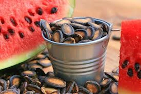 فوائد مذهلة لتناول بذور البطيخ على معدة فارغة