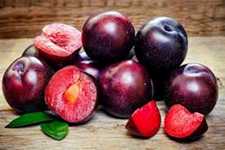 البرقوق.. فوائد مذهلة لتناوله يوميا في الصيف