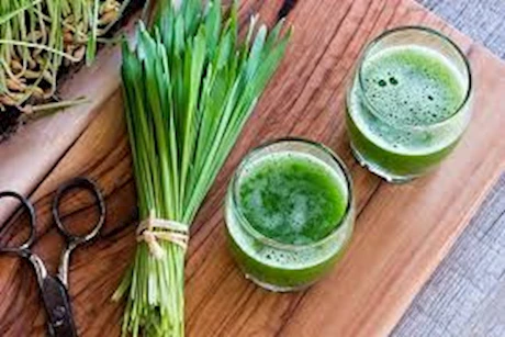 عصير عشبة القمح لعلاج حصوات الكلى.. هل يحقق نتائج فعالة؟