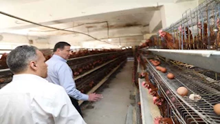 وزير الزراعة يوجه بمضاعفة المشروعات الإنتاجية للجمعيات الزراعية