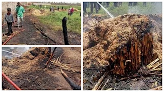 بسبب عقب سيجارة.. حريق يلتهم أرض زراعية بالمنيا -صور