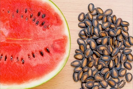 فوائد بذور البطيخ.. كنز غذائي لا تتوقعه