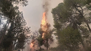 إعلام إسرائيلي: اندلاع حريق ضخم بين أريحا والقدس و محاصرة عشرات المستوطنين