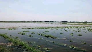 نشرة التوك شو| غرق أراضي "طرح النهر" بالمنوفية وأصداء إقصاء الأهلي من أبطال أفريقيا