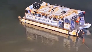 أمريكا.. مقتل وإصابة 13 شخصًا في تصادم قارب بعبارة في فلوريدا 