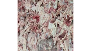 ضبط 2.6 طن هياكل وجلود دواجن غير صالحة للاستهلاك الآدمي بالإسكندرية  