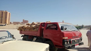 صوامع المنيا تستقبل 77 ألف طن من القمح ضمن حصاد 2025