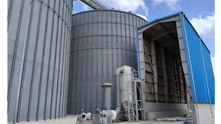 صوامع التموين بالإسكندرية تستقبل 2123 طن قمح محلي في موسم الحصاد 