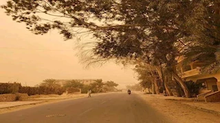 التعليم العالي: منح الجامعات إجازة بسبب العاصفة الترابية "تقديري لكل جامعة"