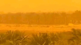 الزراعة: أوقفنا حصاد محصول القمح بسبب العاصفة الخماسيني