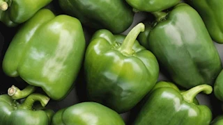 ارتفاع الفلفل.. أسعار الخضروات والفاكهة في سوق العبور اليوم