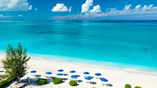 20 صورة لـ شاطئ أخضر زمردي يشع كالجواهر.. يبدو كأنه من كوكب آخر (صور)