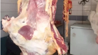 ضبط 700 كيلو لحوم وأسماك مجمدة غير صالحة للطعام بالشرقية