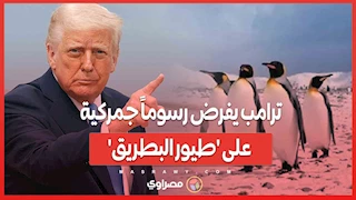 ترامب يفرض رسوماً جمركية على 'طيور البطريق'... ما السبب؟
