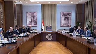 رسميًّا.. الحكومة تصدر لائحة قانون تنظيم حيازة الحيوانات الخطرة والكلاب