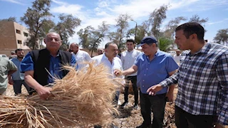 بالصورـ محافظ أسيوط يشارك عمال المحافظة فرحتهم بعيد العمال من حقول القمح