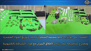  مطاردة في جزيرة نيلية.. تفاصيل مصرع 7 مسلحين على يد الشرطة بالقليوبية