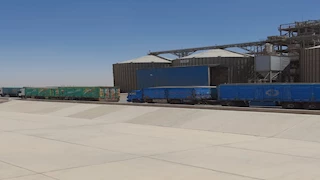 بالصور- شون وصوامع المنيا تستقبل 230 ألف طن قمح ضمن موسم توريد 2025