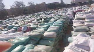  أسيوط تستقبل 89 ألف طن من القمح المحلي -صور