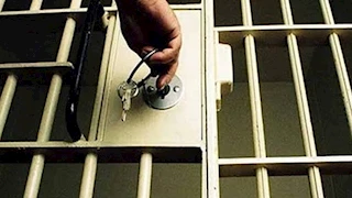 إخلاء سبيل ضحية نمر طنطا وشقيقه بضمان في واقعة تعدي وسرقة هاتف