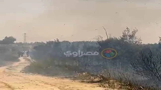 السيطرة على حريق بمزرعة شرق النفق في السويس -صور