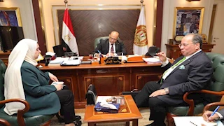 وزير العمل يلتقي وفد شركة "إيلو للاستشارات والخدمات المتكاملة" -تفاصيل